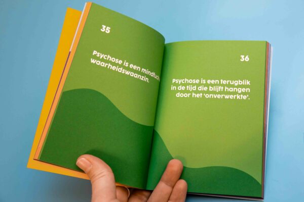Binnenkant boekje 100 definities van psychose - PsychoseNet.nl